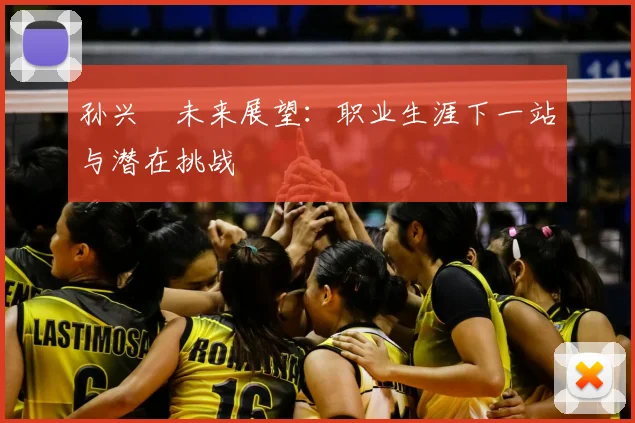 孙兴慜未来展望:职业生涯下一站与潜在挑战