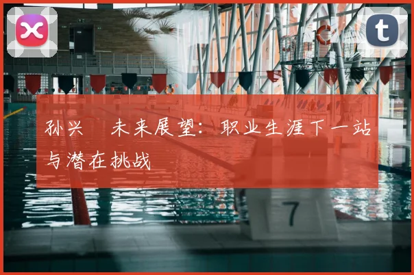 孙兴慜未来展望:职业生涯下一站与潜在挑战