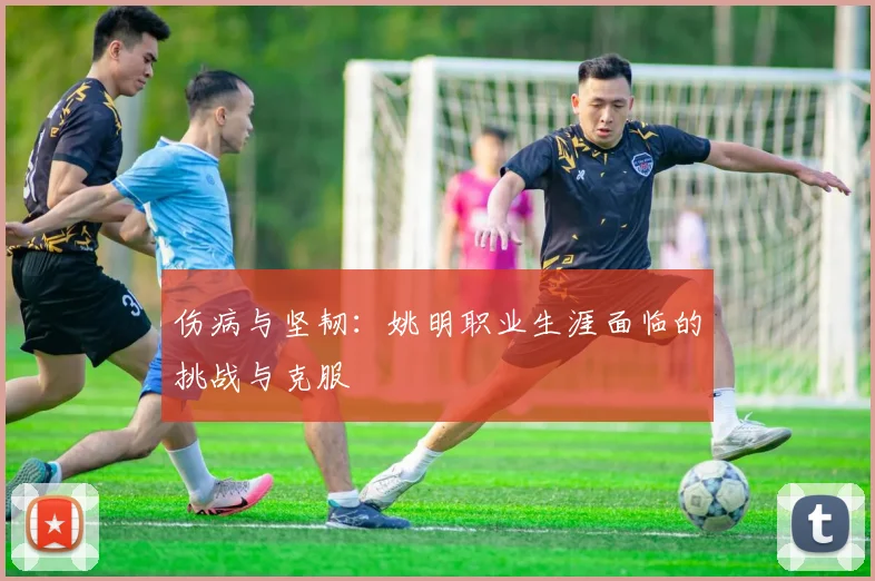 伤病与坚韧:姚明职业生涯面临的挑战与克服